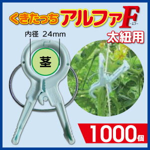 ★送料無料1000個入★紐誘引用 くきたっちアルファF 太紐用24ミリ 1000個入トマト、ナス、きゅうり、などの茎の誘引にダブルフック形状 ★送料無料1000個入★紐誘引用 くきたっちアルファF 太紐用24ミリ 1000個入トマト、ナス、きゅうり、などの茎の誘引にダブルフック形状