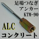 プレートアンカー KTM-90 ALC・コンクリート用 あと施工タイプ【あす楽 ゼン技研 足場 壁つなぎ ALC】