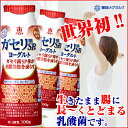 送料無料/ヨーグルト/恵ガセリ菌SP株ヨーグルトドリンクタイプ 100g 12本セット