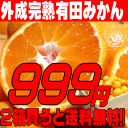 【2箱以上で送料無料】ご家庭用お試し有田みかん♪めっちゃお得な“外成完熟”有田みかん 2．5kg 【50％OFF】【送料無料】【訳あり】【わけあり】