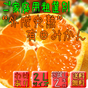 ¤´²ÈÄíÍÑÁÆÁªÊ̡ȳ°À®´°½Ï¡ÉÍÅĤߤ«¤ó 2L¥µ¥¤¥º 2kg ¡ÚÁ÷ÎÁ̵ÎÁ¡Û¡ÚÌõ¤¢¤ê¡Û¡Ú¤ï¤±¤¢¤ê¡Û