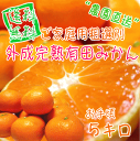ご家庭用粗選別“外成完熟”有田みかん 5kg【送料無料】【訳あり】【わけあり】