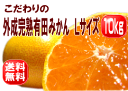 こだわりの外成“完熟”有田みかん 10kg Lサイズ【送料無料】【smtb-k】【w3】【楽ギフ_のし】