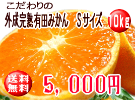 初めてのお客様にはオススメ！リピート率ナンバーワンの商品！紀州和歌山より農園直送♪[和歌山県産]【送料無料】こだわりの外成“完熟”有田みかん 10kg Sサイズ 【k4u5643】