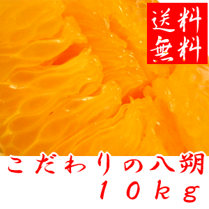 一度ハマったら病み付きになる八朔。<br />ゆっくりとした時間の中でじっくりと味わってください。<br />本場紀州和歌山有田の農園よりお届け 33%OFF 和歌山県産 こだわりの八朔(はっさく) 10kg 送料無料