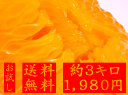 一度ハマったら病み付きになる八朔。ゆっくりとした時間の中でじっくりと味わってください。本場紀州和歌山有田の農園よりお届け♪【23%OFF】【和歌山県産】【お試し】【送料無料】こだわりの八朔(はっさく) 約3kg