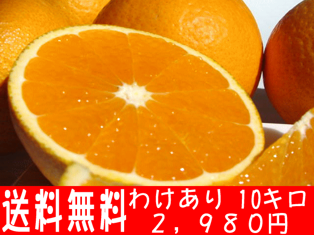 ٥Хĥۤȿڤ˰Ƥ줿󥸤ǤߤΥ塼ȥ󥸤ιѤդ˥ԥåδ̤Ǥ25OFFۡ²λ̵ۡۤѤ櫓󥸡10kgsousale05ۡڥݡ0903