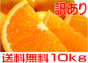 ご家庭用粗選別清見オレンジ　10kg 【送料無料】【訳あり】【わけあり】