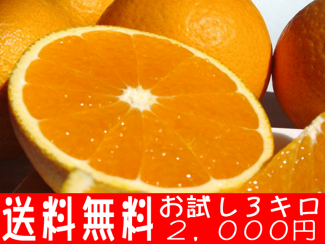 դ𤲤른塼󥸡ŤȤߤߤϽդ˥ԥåδ̤ʤǤ22OFFۡ²λۡڤ̵ۡۥ塼ʴŤߤäפ󥸡3kgsousale05ۡڥݡ0903