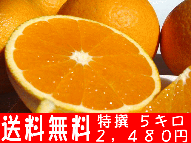 ٥Хĥۤȿڤ˰Ƥ줿󥸤ǤߤΥ塼ȥ󥸤ιѤդ˥ԥåδ̤Ǥ23OFFۡ²λ̵ۡۥ塼ʴŤߤäפ󥸡5kgsousale05ۡڥݡ0903