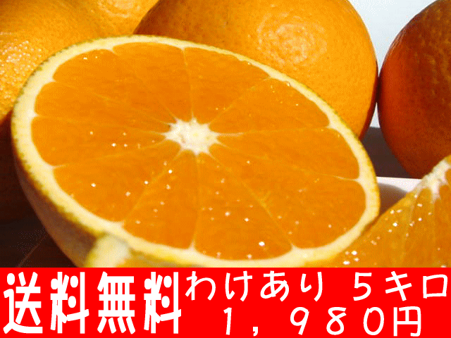 ٥Хĥۤȿڤ˰Ƥ줿󥸤ǤߤΥ塼ȥ󥸤ιѤդ˥ԥåδ̤Ǥ33OFFۡ²λ̵ۡۤѤ櫓󥸡5kgsousale05ۡڥݡ0903