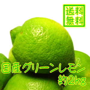 スッキリさっぱり国産グリーンレモン　約2kg　【減農薬】【送料無料】