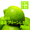 ご家庭用わけあり国産(和歌山有田産)グリーンレモン 約2kg【ノーワックス】【ノー防腐剤】【減農薬】【送料無料】【訳あり】【RCP】 ランキングお取り寄せ