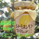 手作りシトラス国産レモンマーマレード【ネット限定】