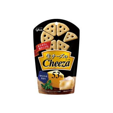 ■生チーズのチーザ カマンベールチーズ 40g