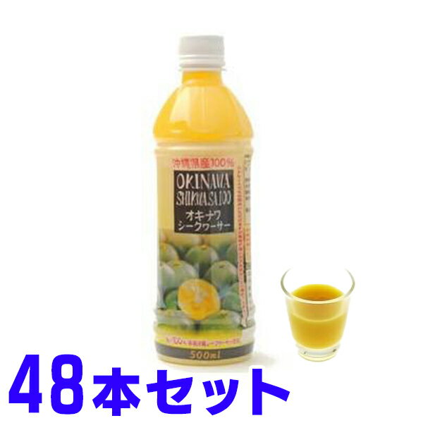 シークワーサー 沖縄県産 青切り 果汁 100% オキハム 500ml ×48本 沖縄ハム総合食品 ノビレチン 豊富 健康生活 シークヮーサー
