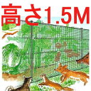 動物侵入防止 防獣ネット NEWアニマルネット HGR-16（1.5M×50M）