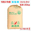 令和元年産 岩船産コシヒカリ 玄米20kg(10kg×2袋)お米マイスター特選 贈り物・ご家庭用においしいコシヒカリをどうぞ!