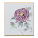 ≪メール便対応≫アウトレット 色紙 初夏【牡丹 030】橋本 雅風日本画 絵画 色紙アウトレット商品 10P09Jul16