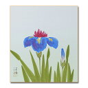 【メール便対応】菖蒲 直筆色紙 松田 清峰【菖蒲 034】】色紙絵 アウトレット商品 絵画 日本画 10P01Oct16