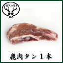 北海道特産 えぞ鹿肉 タン(舌)肉 1本(ブロック)(100g前後)【RCP】【お中元/お歳暮】