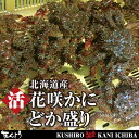 活蟹だから旨さが違う!訳あり 活花咲蟹 お買い得どか盛りセッ...