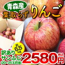 訳あり 葉取らずりんご 青森産 色むら有り サンふじ約6.5...