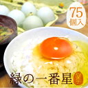 ç·‘ã®ä¸€ç•ªæ˜Ÿ75個入 åµ é€æ–™ç„¡æ–™ 飲んã§ã‚‚美味!ç”˜ãæ¿ƒåŽš 生è‡ã•ç„¡ ã‚¢ãƒãƒ¼ã‚«ãƒŠãŒé€²åŒ–!大黄åµé¶ãŒç”£ã‚€è–„ç·‘æ®»ã®é«˜ç´šæ „養タマゴ! アスタã‚サンãƒãƒ³ α-リノレン酸 30%黄身 è‚‰ä½“æ”¹é€ ç‹ãƒˆãƒ¬ ダイエット