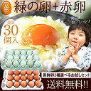 卵 食べ比べ 送料無料3,820円!新鮮愛されたまご2種選べ...