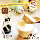 新鮮緑の一番星使用!手作り コクうま 卵プリン4個 化粧箱入り 雑誌掲載テレビで話題 緑のたまご入り 濃厚な風味 とろける口当たりスイーツ♪お歳暮 ギフト アローカナの卵が進化!大黄卵鶏が産む薄緑殻の高級栄養卵使用 【クール便発送】