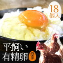 3,500円以上ã§é€æ–™ç„¡æ–™!æœ‰ç²¾åµ 18個入り 飲んã§ã‚‚美味!ç”˜ãæ¿ƒåŽš 生è‡ã•無㗠平飼ã„ã§ã‚¹ãƒˆãƒ¬ã‚¹ãªãã®ã³ã®ã³è‚²ã£ãŸç´”国産é¶ã€Œã‚‚ã¿ã˜ã€ãŒç”£ã‚€å¥åº·ã‚¿ãƒžã‚´ ダイエット トレーニング 生åµã‚’飲む方もãŠã™ã™ã‚ å¹³é£¼ã„æœ‰ç²¾åµã€ã”自宅用】