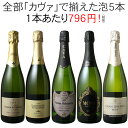 【送料無料】ワインセット カヴァ 5本 セット 辛口 シャンパン製法 瓶内二次発酵 スパ