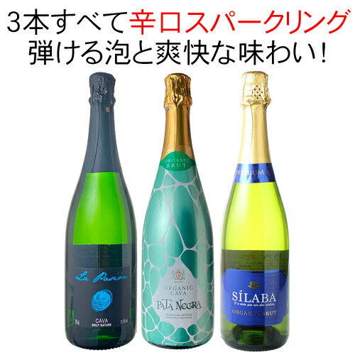 【送料無料】ワインセット 辛口 スパークリングワイン 3本 セット スペイン カヴァ 辛口 泡だけ プレゼント ギフト 第40弾