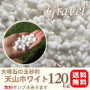 大理石の白玉砂利/天山ホワイト10mm 120kg分(20kg入り×6袋)★3cm厚で約2.4平米分(1.6m×1.5m程度)★離島・沖縄は送料がかかります。白砂利 ガーデニング砂利 庭の砂利 コンクリート目地砂利 敷き用砂利 駐車場砂利 砂利道 送料無料の砂利