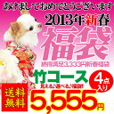 2013★新春福袋★竹コース見える！選べる福袋！4点入ってジャスト5555円♪送料無料