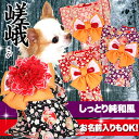【犬の服タムベディ】艶やか晴れ着【犬用 着物】★嵯峨(さが)★【お正月 年賀状犬服 犬 服 着物 犬の服 犬の着物 犬の洋服】【201608】コサージュ別売り【1000off】