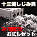 【送料無料】青森県産 十三湖産冷凍しじみ貝　お試しセット≪大和シジミ・砂抜き済み・しじみ 味噌汁・冷凍 しじみ≫【2sp_120810_green】