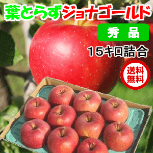 【送料無料】青森 りんご　葉とらずりんご ジョナゴールド　三段詰め（約15kg）（54-6…...:tamenobu:10000343