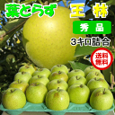 【 送料無料 】青森 りんご 葉とらずりんご 王林 3kg(...