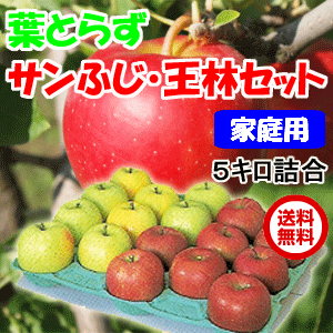 【送料無料】青森 りんご　葉とらずりんご サンふじと王林セット　5kg（18-20玉前後）…...:tamenobu:10000024