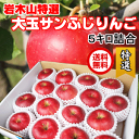 【送料無料】青森 りんご 岩木山特選りんご サンふじ 5kg...