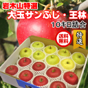 【 送料無料 】青森 りんご 岩木山特選りんご サンふじ・王...