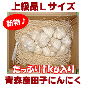 【平成24年産新物・早期ご予約特価！】青森県産田子にんにく　上級品Lサイズ（1kg・14〜17玉）福地ホワイト6片種≪10kg以上のご注文で送料無料キャンペーン中≫【お届け日指定不可】【2sp_120810_green】