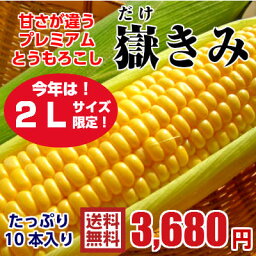 【送料無料】青森県産 嶽きみ　恵味（めぐみ）・2Lサイズ限定　10本　フルーツのようなとうもろこし（だけきみ 嶽とうもろこし とうもろこし トウモロコシ）【お届け日指定不可】