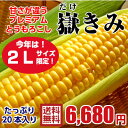 【送料無料】青森県産 嶽きみ 恵味(めぐみ)・2Lサイズ限定...