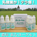 飲むヨーグルト(大サイズ) 900ml×6本セット 乳酸菌が1テラ個の濃厚飲むヨーグルト【SS】
