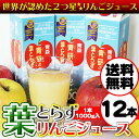 【送料無料】青研の葉とらずりんごジュース 1000