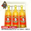 カトちゃんりんごジュース化粧箱入り(720ml、3本セット)|りんごジュース 青森 お土産 リンゴジュース 青森県産 ジュース ギフト りんご 贈り物 お取り寄せ 東北 青森リンゴ お歳暮 御歳暮 贈答品 青森リンゴジュース ストレート