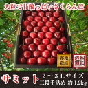 青森南部町産さくらんぼ サミット・秀品ランク 約1.2kg(3L-4L・贈答用二段手詰め)【送料無料】≪お届け日指定不可・6月下旬から7月上旬の発送・サクランボ・桜桃≫