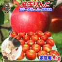 紅玉りんご 8kg(46-56玉前後)≪ご家庭用ランク 青森...